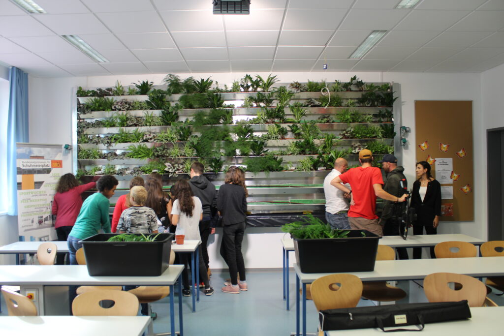 Im Bild ist eine Grünwand in einem Klassenzimmer zu sehen, welche von Schüler*innen und Lehrpersonal bepflanzt wird.