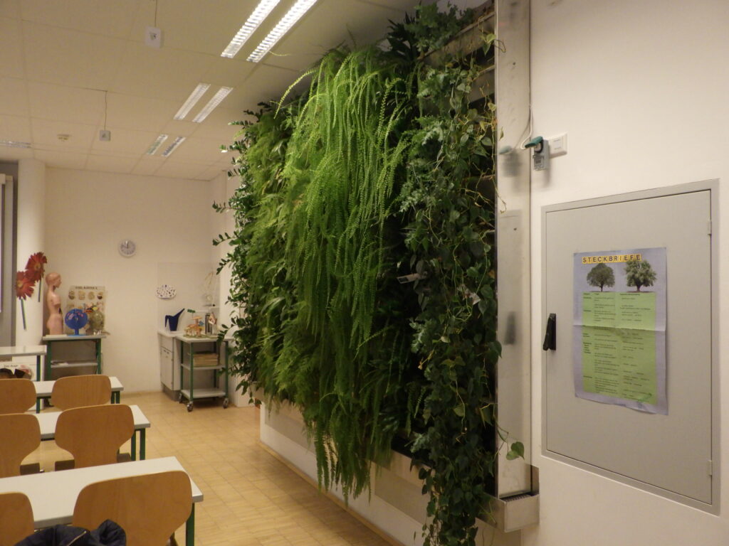 Im Bild ist eine Grünwand im Biologiesaal einer Schule zu sehen.
