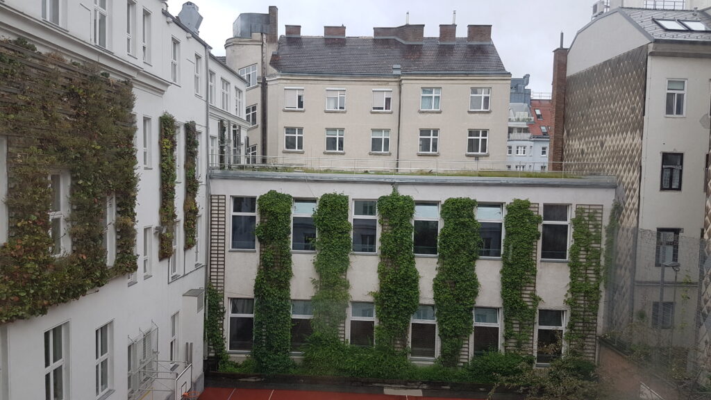 Im Bild ist ein begrünte Schul-Innenhof mit verschiedenen Wand- und Dachbegrünungen zu sehen.