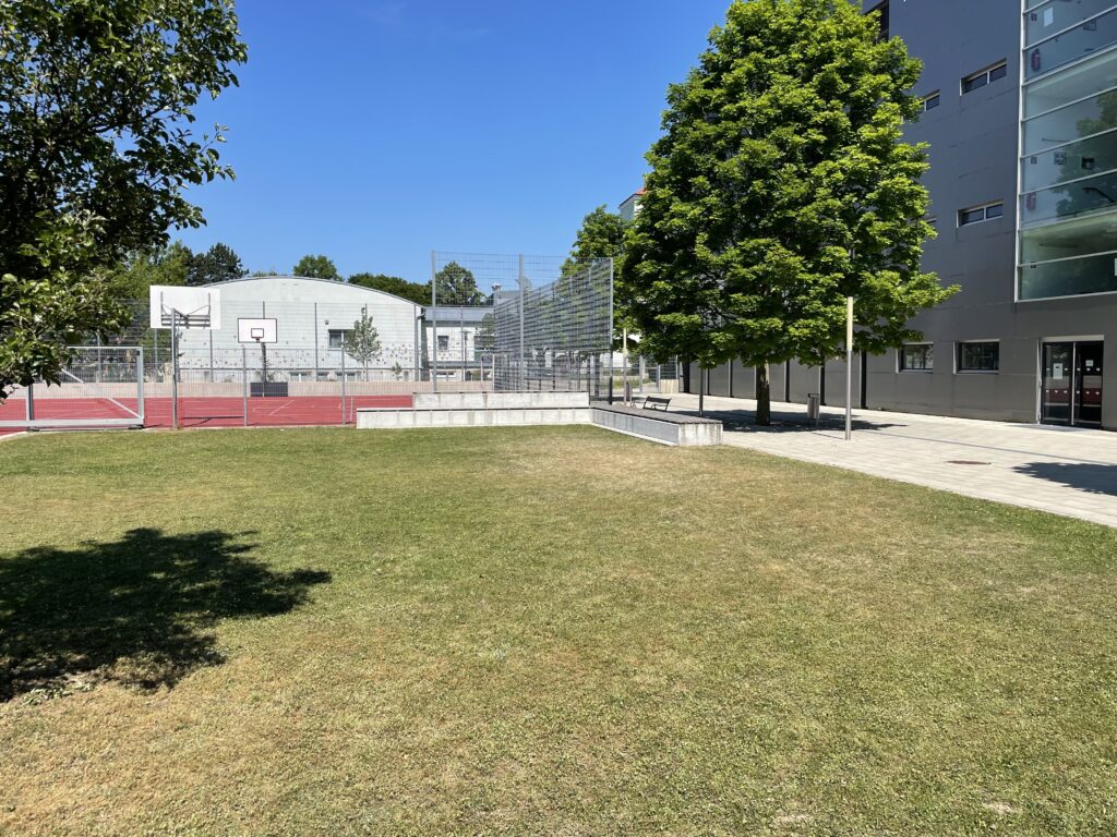 Im Bild ist ein Schulhof mit Wiese, Baum und Sportplatz zu sehen.