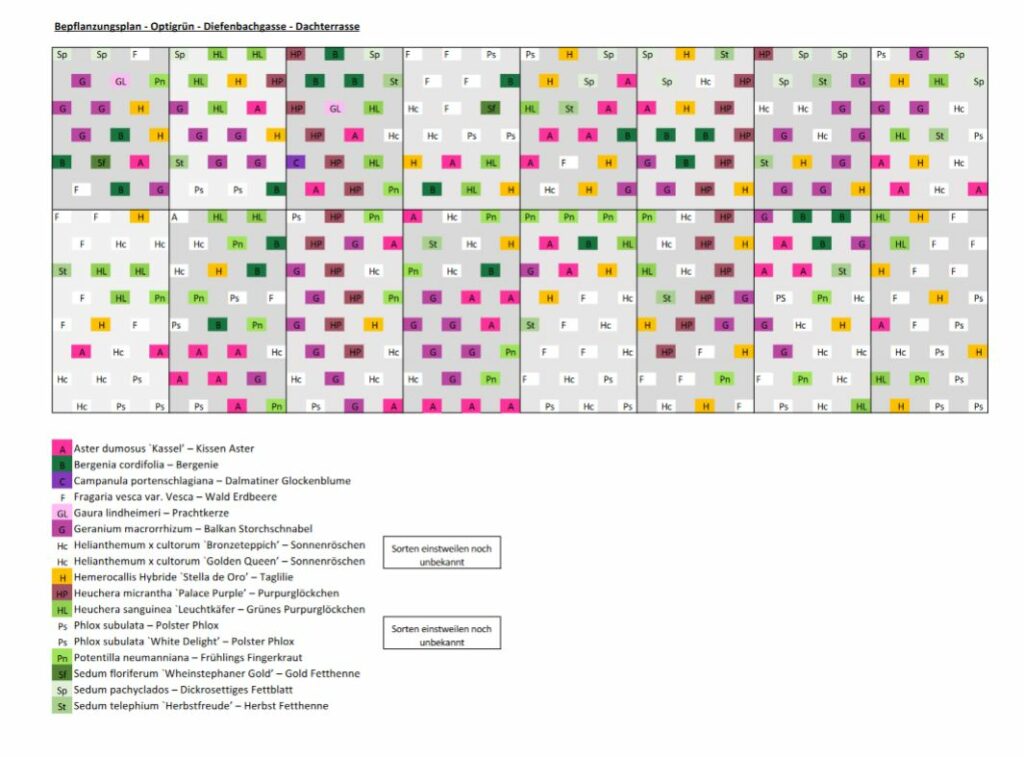 Im Bild ist ein Pflanzplan einer Grünwand mit Stauden zu sehen.