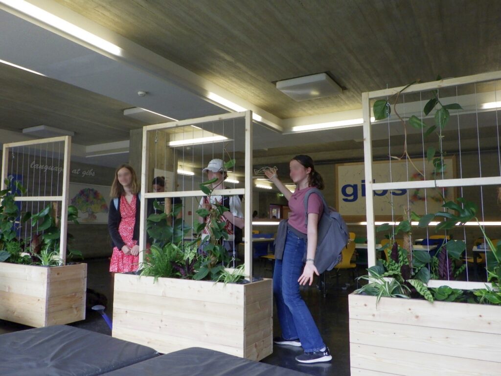 Im Bild sind Schüler*innen an drei bepflanzten Raumteilern in der Aula zu sehen.