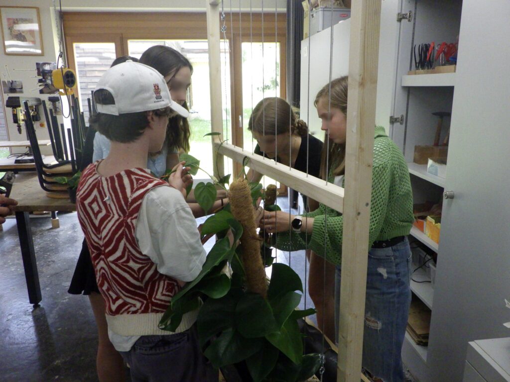 Im Bild sind Schüler*innen zu sehen, die Pflanzen an die Rankhilfe eines Pflanztroges Binden.