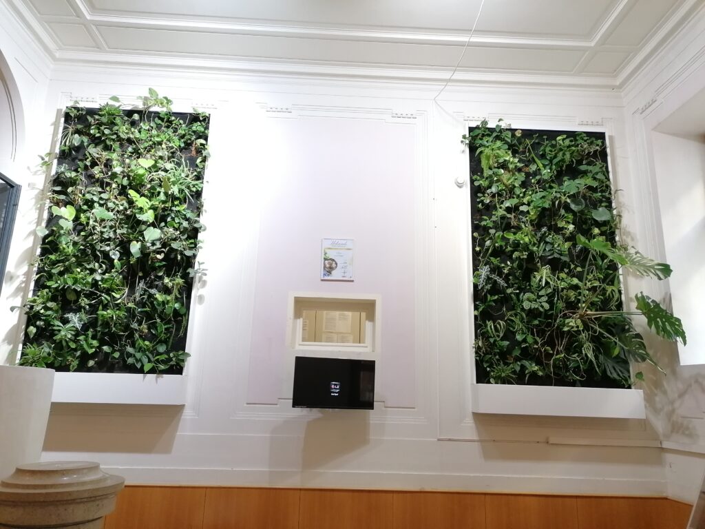 Im Bild sind zwei wandgebundene Innenraumbegrünungen in der Aula eines Schulgebäudes zu sehen.