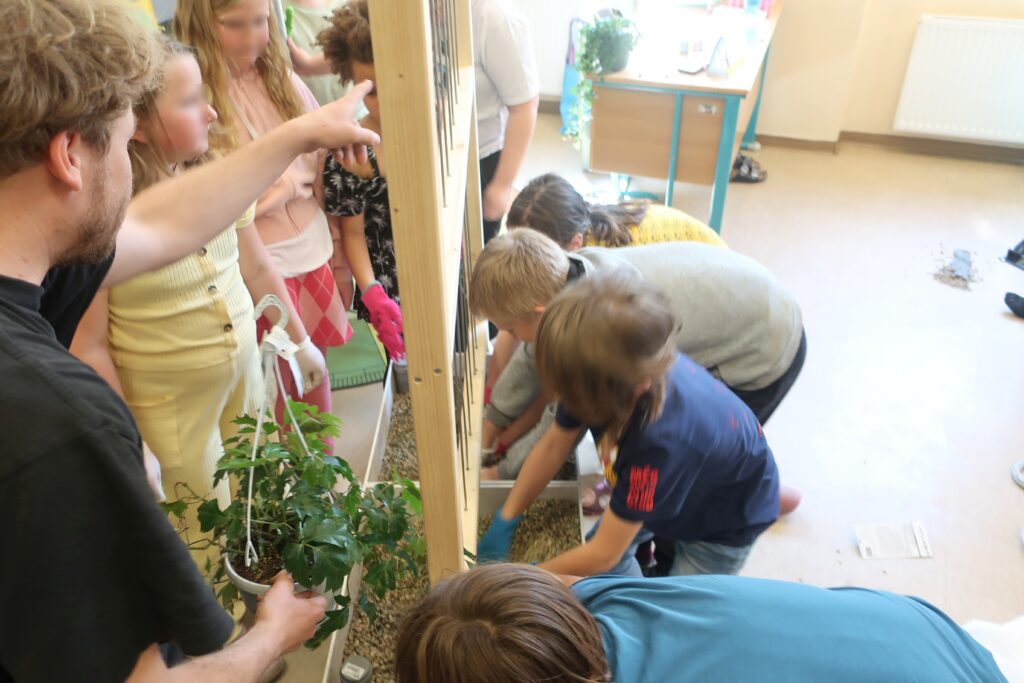 Im Bild sind Schüler*innen zu sehen, die gemeinsam einen mobilen Pflanztrog bepflanzen