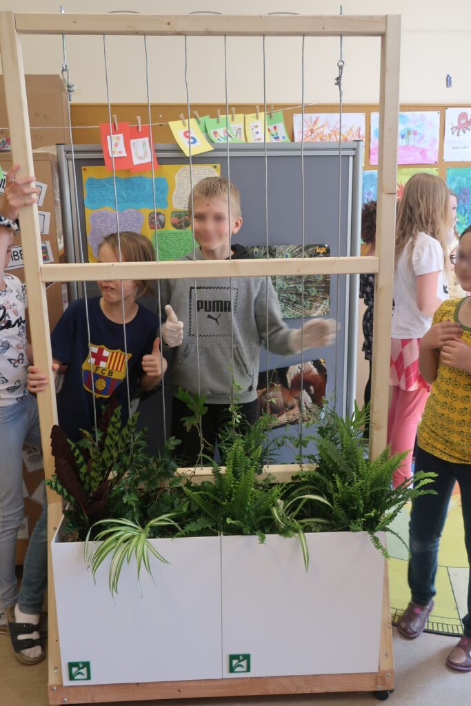 Im Bild sind Schüler*innen in einem Klassenzimmer zu sehen, die an einem Pflanztrog mit Rankhilfe stehen
