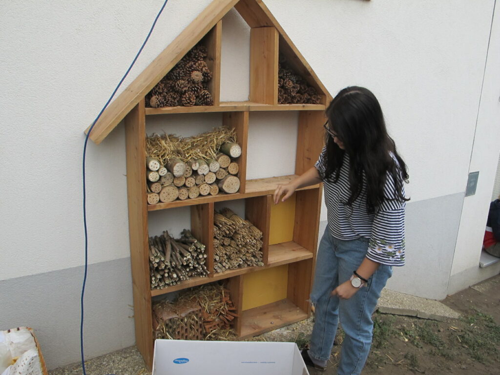 Im Bild ist eine Schülerin vor einem Insektenhotel zu sehen.
