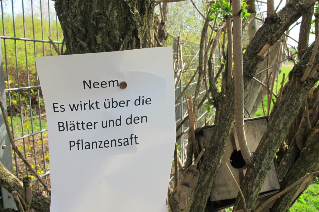 Im Bild ist ein Hinweis über die Wirkung von Neem-Öl an einen Baum geheftet zu sehen.