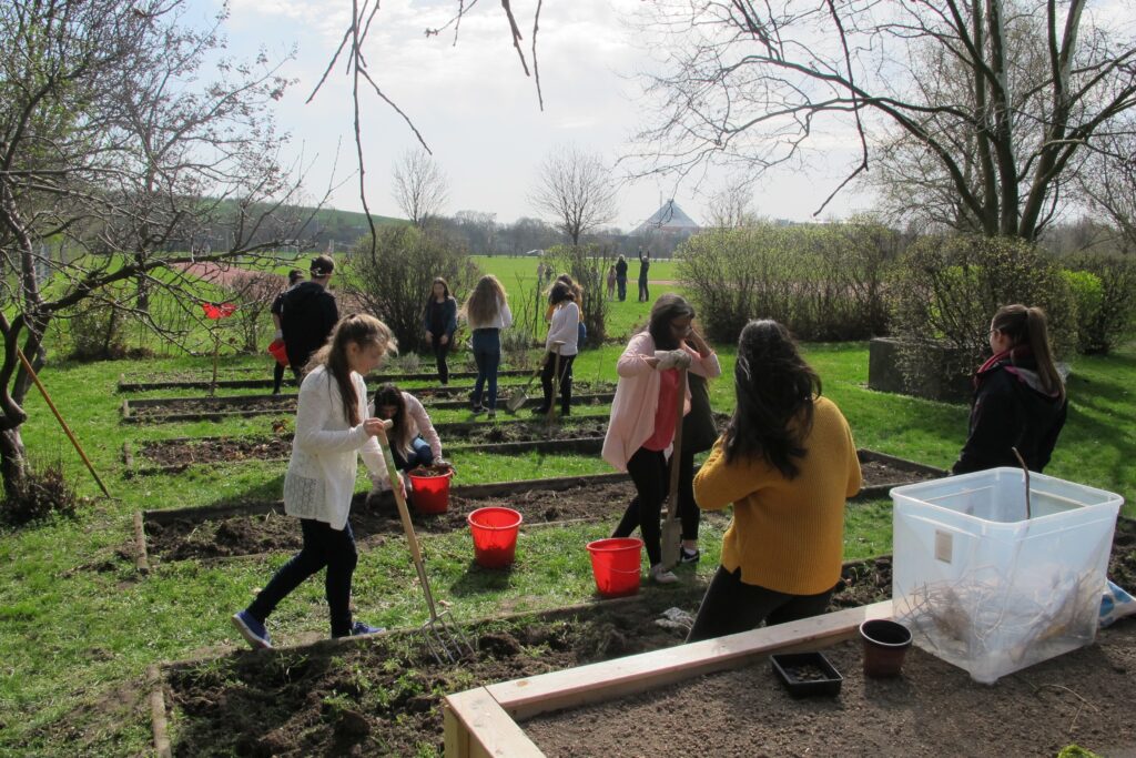 Im Bild sind Schüler*innen zu sehen, die Beete im Schulgarten herrichten.