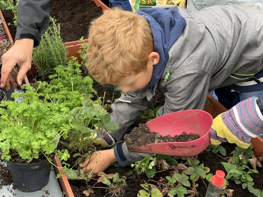 Im Bild ist ein Schüler zu sehen, der ein Hochbeet bepflanzt.